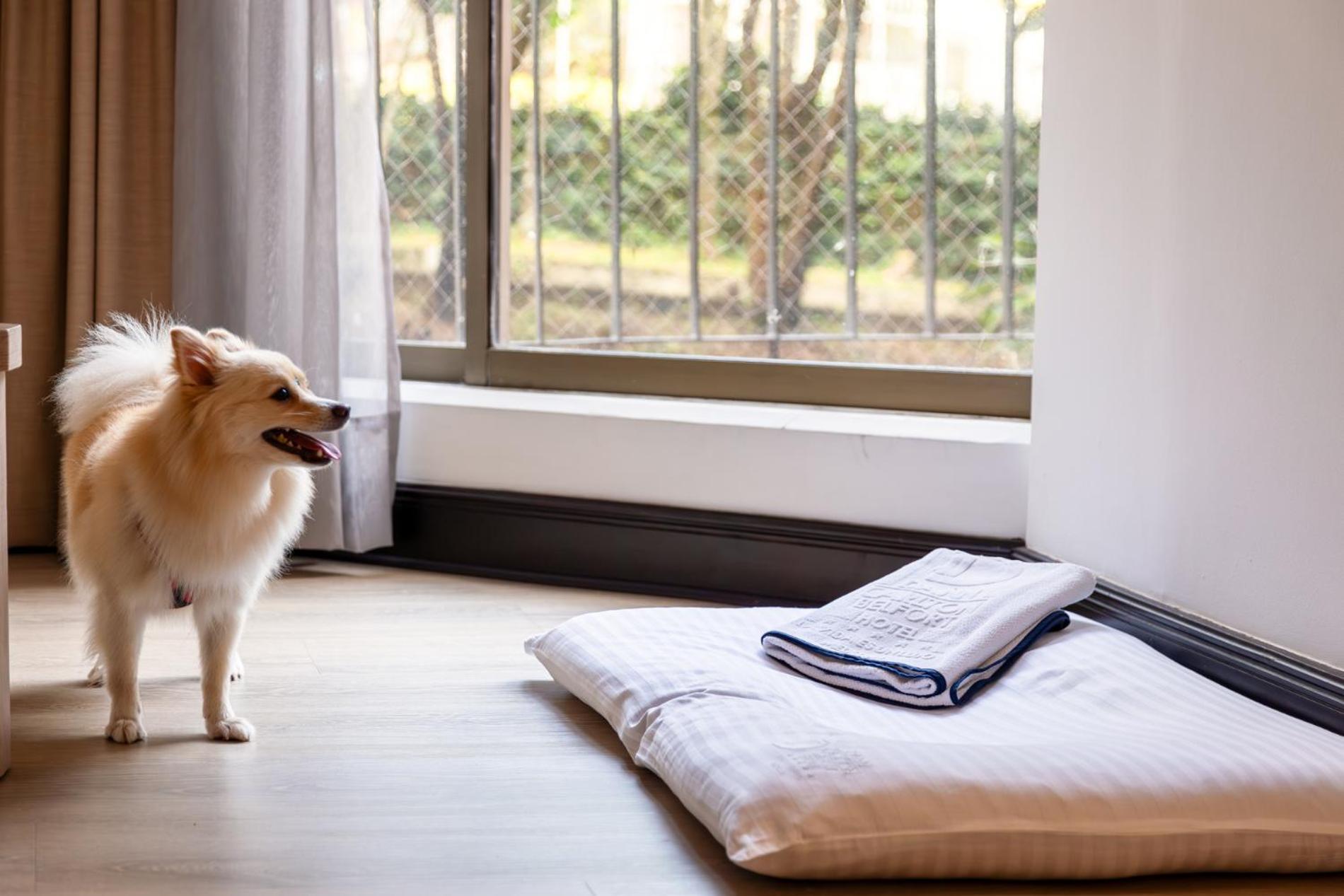 Hotel Dann Carlton Belfort Medellín Dış mekan fotoğraf A dog bed
